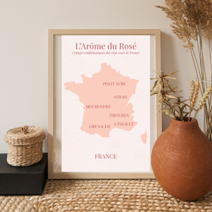 l’arôme du rosé – affiche carte des cépages de vins rosés en france (format a3)